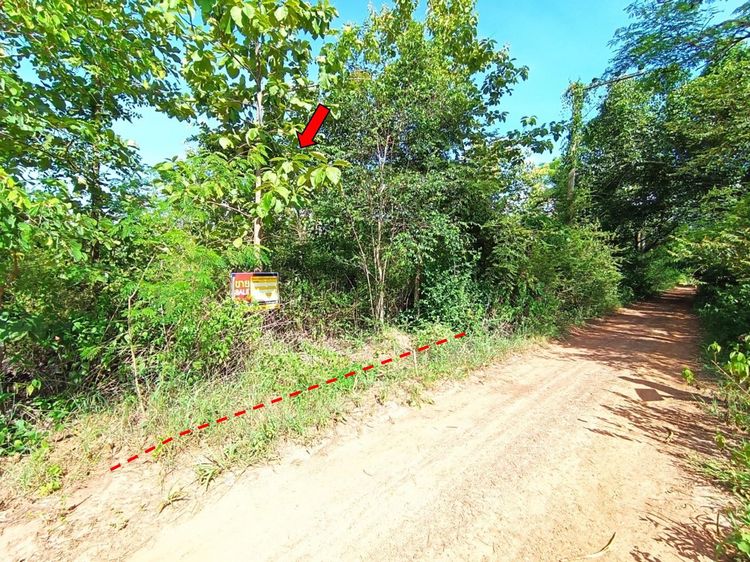 āđāļāđ ð āļāļĩāđāļāļīāļ āđāļĄāļ·āļāļāļāļāļāđāļāđāļ āļĢāļēāļāļēāļāļīāđāļĻāļĐ! ð āļĢāļđāļāļāļĩāđ 2