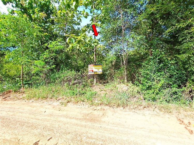 💖 ที่ดิน เมืองขอนแก่น ราคาพิเศษ! 💖