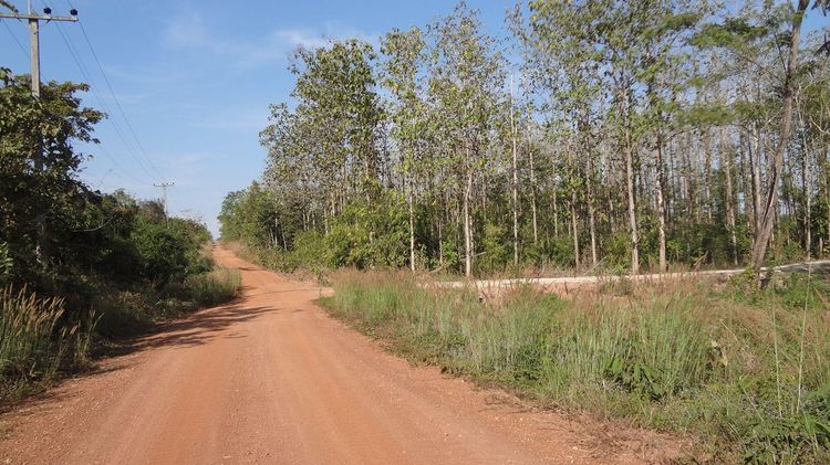 ใช่ 💖 ที่ดิน ห้างฉัตร ราคาพิเศษ! 💖 รูปที่ 2