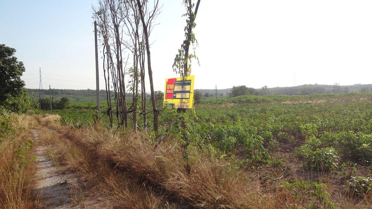 💖 ที่ดิน ห้างฉัตร ราคาพิเศษ! 💖