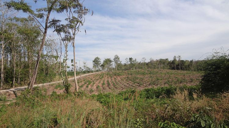 āđāļāđ ð āļāļĩāđāļāļīāļ āļŦāđāļēāļāļāļąāļāļĢ āļĢāļēāļāļēāļāļīāđāļĻāļĐ! ð āļĢāļđāļāļāļĩāđ 3