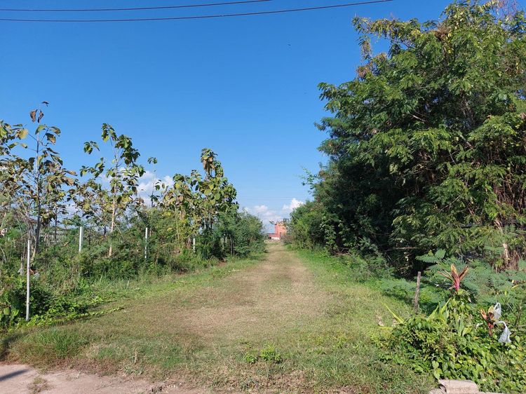 ใช่ 💖 ที่ดิน เมืองลำปาง ราคาพิเศษ! 💖 รูปที่ 2