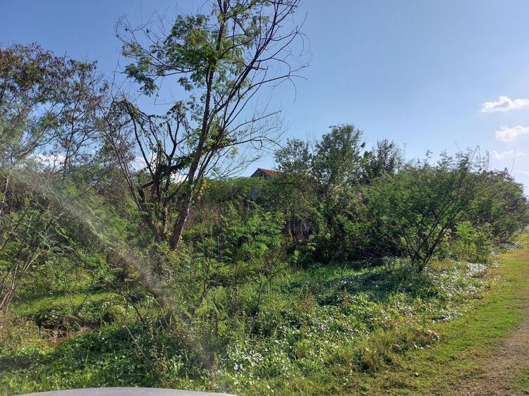 ใช่ 💖 ที่ดิน เมืองลำปาง ราคาพิเศษ! 💖 รูปที่ 2