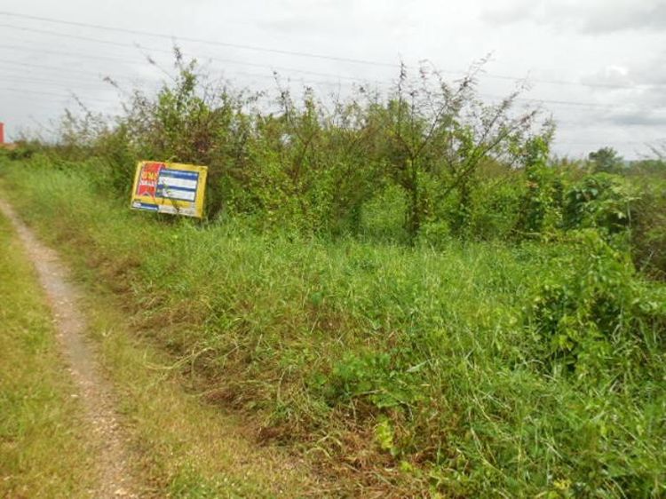 💖 ที่ดิน เมืองลำปาง ราคาพิเศษ! 💖