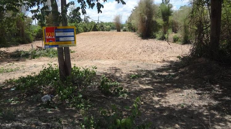 ใช่ 💖 ที่ดิน แม่ทะ ราคาพิเศษ! 💖 รูปที่ 4