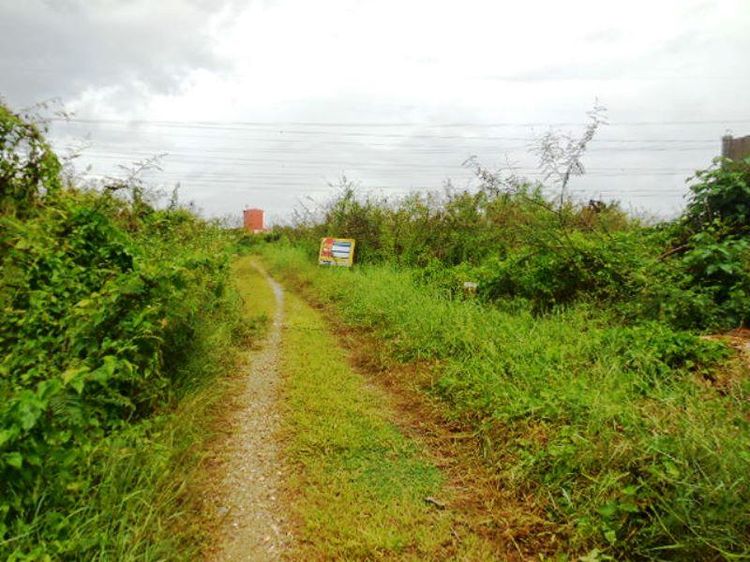 💖 ที่ดิน เมืองลำปาง ราคาพิเศษ! 💖