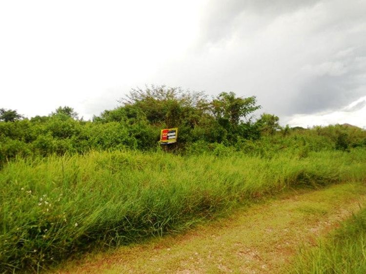 💖 ที่ดิน เมืองลำปาง ราคาพิเศษ! 💖