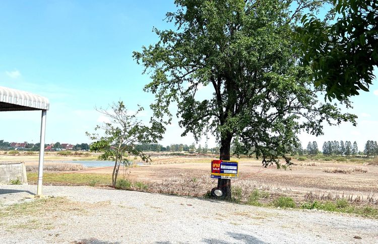 ใช่ 💖 ที่ดิน กำแพงแสน ราคาพิเศษ! 💖 รูปที่ 2