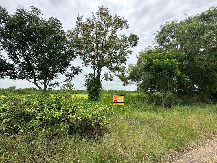 āđāļāđ ð āļāļĩāđāļāļīāļ āļāļāļāļĢāļąāļāļĐāđ āļĢāļēāļāļēāļāļīāđāļĻāļĐ! ð āļĢāļđāļāļāļĩāđ 4