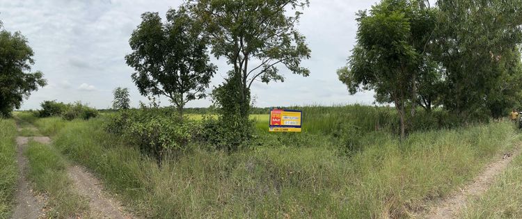 💖 ที่ดิน องครักษ์ ราคาพิเศษ! 💖