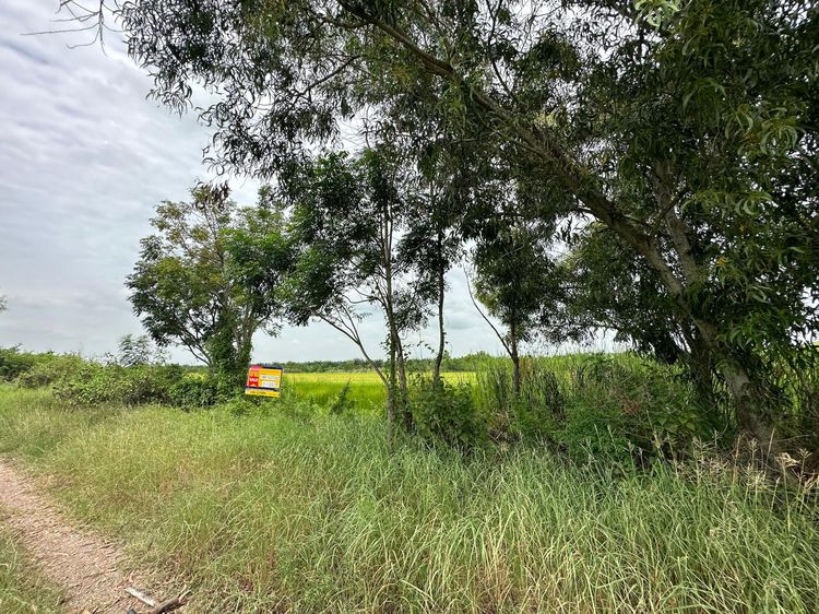 āđāļāđ ð āļāļĩāđāļāļīāļ āļāļāļāļĢāļąāļāļĐāđ āļĢāļēāļāļēāļāļīāđāļĻāļĐ! ð āļĢāļđāļāļāļĩāđ 3