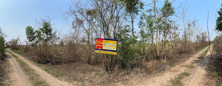 ใช่ 💖 ที่ดิน องครักษ์ ราคาพิเศษ! 💖