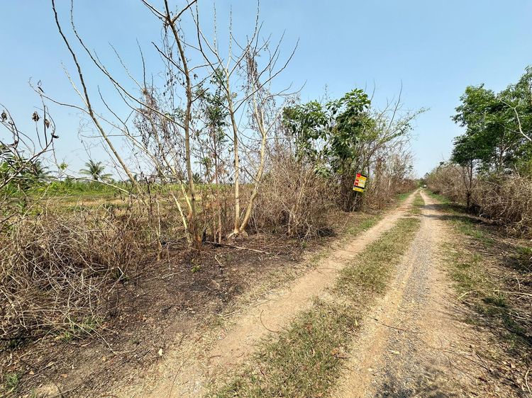 ใช่ 💖 ที่ดิน องครักษ์ ราคาพิเศษ! 💖 รูปที่ 2