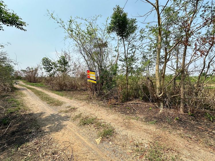 ใช่ 💖 ที่ดิน องครักษ์ ราคาพิเศษ! 💖 รูปที่ 3