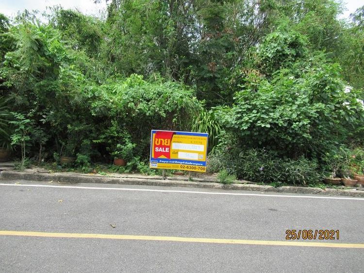 💖 ที่ดิน บางบัวทอง ราคาพิเศษ! 💖