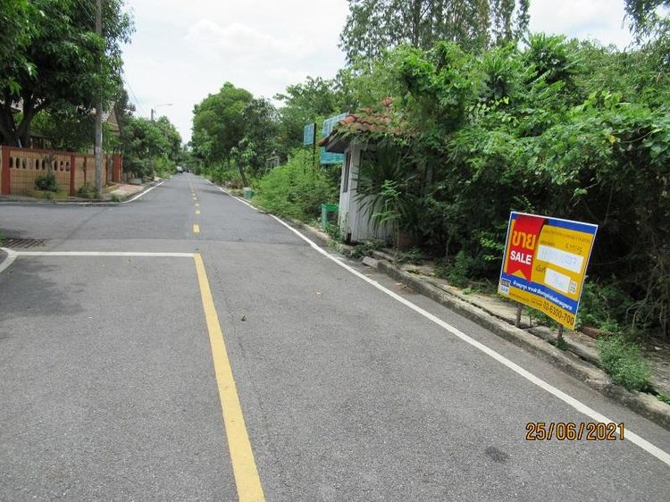 ใช่ 💖 ที่ดิน บางบัวทอง ราคาพิเศษ! 💖 รูปที่ 4