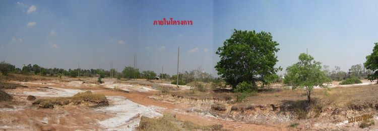 ใช่ 💖 ที่ดิน โนนไทย ราคาพิเศษ! 💖 รูปที่ 4