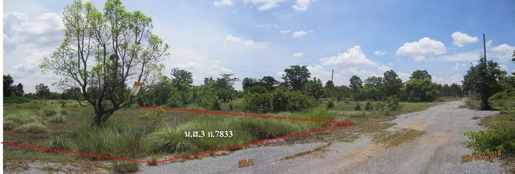 ใช่ 💖 ที่ดิน ปักธงชัย ราคาพิเศษ! 💖 รูปที่ 3