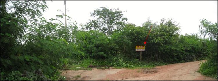 ใช่ 💖 ที่ดิน โชคชัย ราคาพิเศษ! 💖