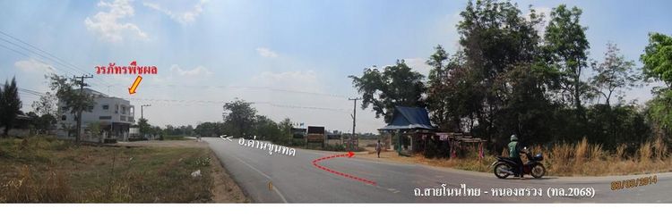 ใช่ 💖 ที่ดิน โนนไทย ราคาพิเศษ! 💖 รูปที่ 2