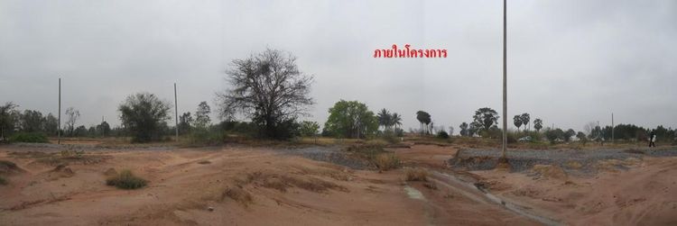 ใช่ 💖 ที่ดิน โนนไทย ราคาพิเศษ! 💖 รูปที่ 4