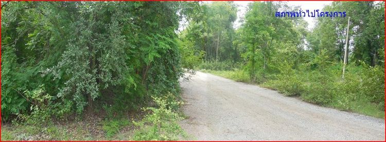 ใช่ 💖 ที่ดิน ปักธงชัย ราคาพิเศษ! 💖 รูปที่ 4