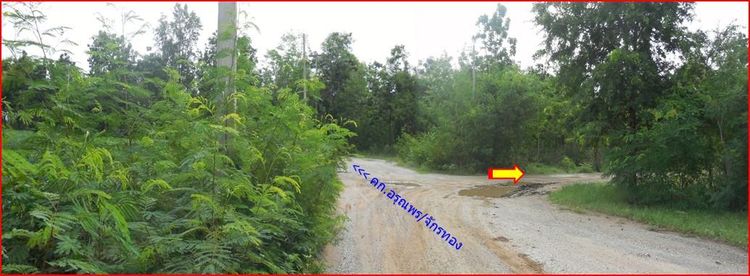 ใช่ 💖 ที่ดิน ปักธงชัย ราคาพิเศษ! 💖 รูปที่ 3