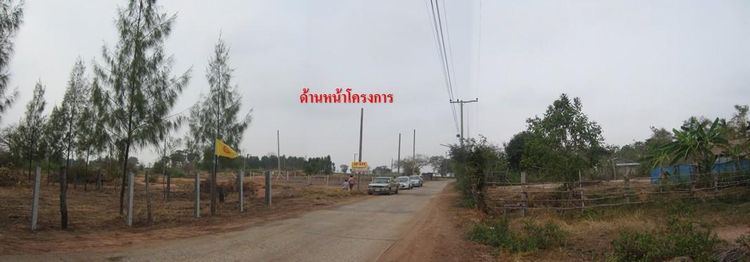 ใช่ 💖 ที่ดิน โนนไทย ราคาพิเศษ! 💖 รูปที่ 3