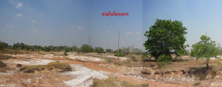 ใช่ 💖 ที่ดิน โนนไทย ราคาพิเศษ! 💖 รูปที่ 4