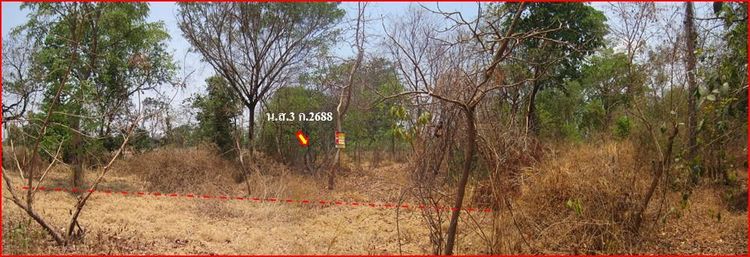 💖 ที่ดิน เมืองนครราชสีมา ราคาพิเศษ! 💖