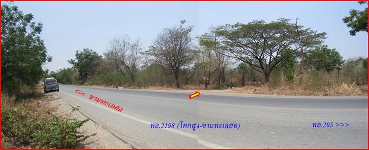 ใช่ 💖 ที่ดิน เมืองนครราชสีมา ราคาพิเศษ! 💖 รูปที่ 3