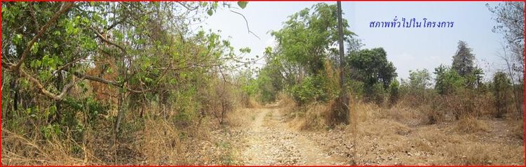 ใช่ 💖 ที่ดิน เมืองนครราชสีมา ราคาพิเศษ! 💖 รูปที่ 4