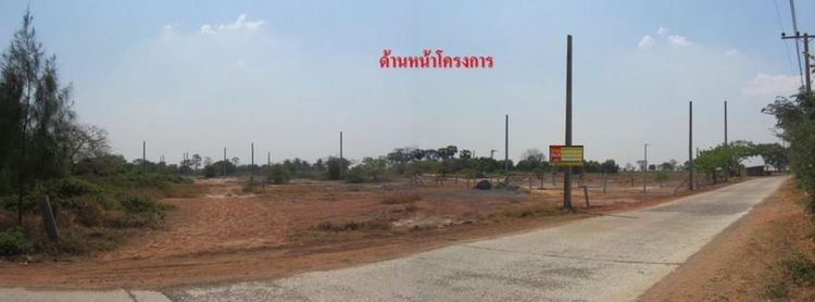 ใช่ 💖 ที่ดิน โนนไทย ราคาพิเศษ! 💖 รูปที่ 4