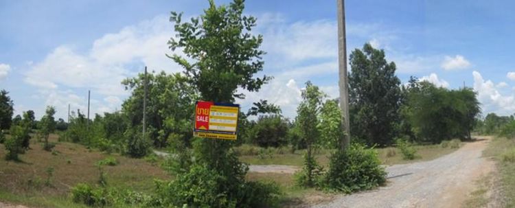 💖 ที่ดิน ปักธงชัย ราคาพิเศษ! 💖