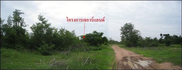 ใช่ 💖 ที่ดิน โชคชัย ราคาพิเศษ! 💖 รูปที่ 3