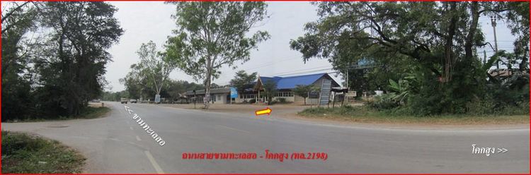 ใช่ 💖 ที่ดิน เมืองนครราชสีมา ราคาพิเศษ! 💖 รูปที่ 2