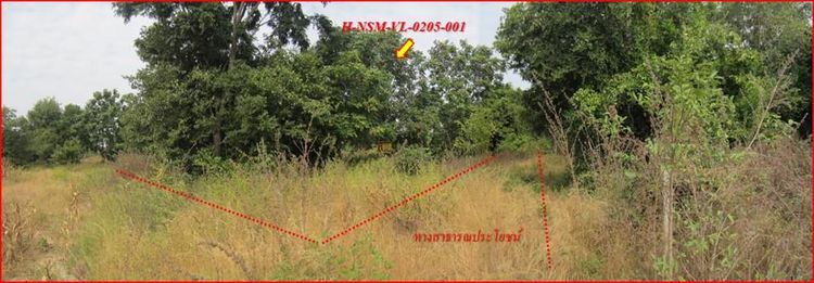 💖 ที่ดิน เมืองนครราชสีมา ราคาพิเศษ! 💖