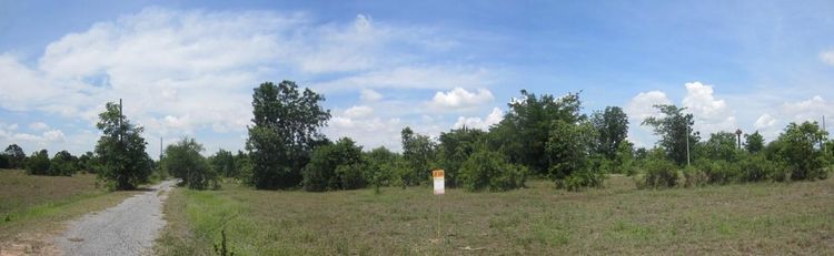 ใช่ 💖 ที่ดิน ปักธงชัย ราคาพิเศษ! 💖 รูปที่ 4