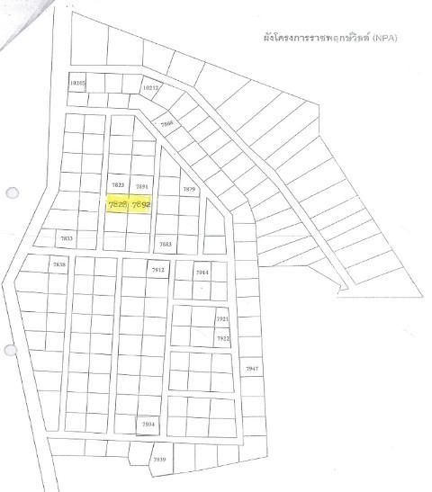 ใช่ 💖 ที่ดิน ปักธงชัย ราคาพิเศษ! 💖 รูปที่ 2