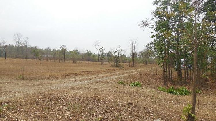 ใช่ 💖 ที่ดิน โชคชัย ราคาพิเศษ! 💖 รูปที่ 4