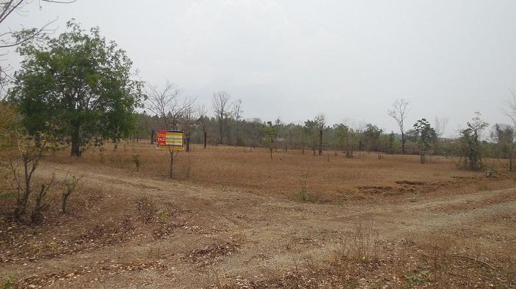 ใช่ 💖 ที่ดิน โชคชัย ราคาพิเศษ! 💖