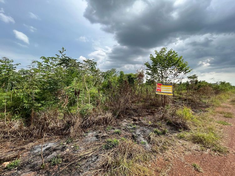 ใช่ 💖 ที่ดิน โชคชัย ราคาพิเศษ! 💖 รูปที่ 3