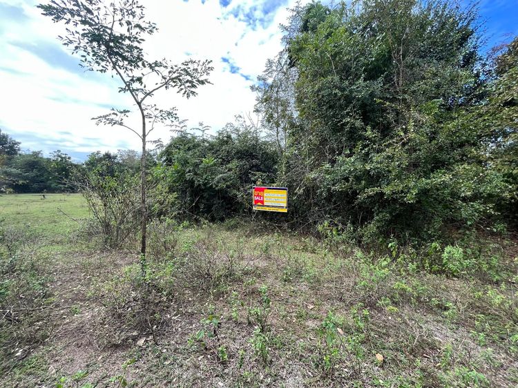 💖 ที่ดิน โชคชัย ราคาพิเศษ! 💖