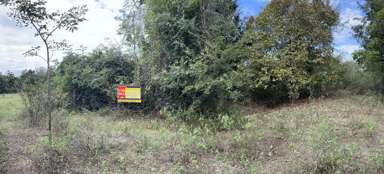 ใช่ 💖 ที่ดิน โชคชัย ราคาพิเศษ! 💖 รูปที่ 3