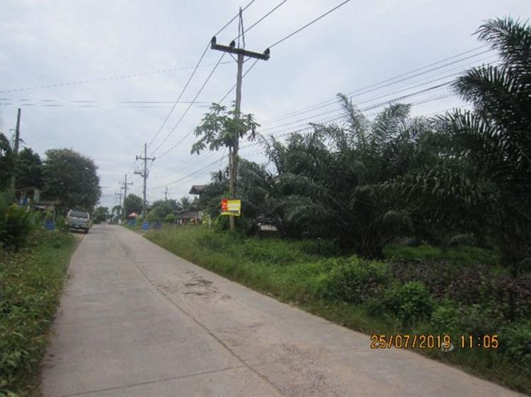 💖 ที่ดิน ทุ่งใหญ่ ราคาพิเศษ! 💖