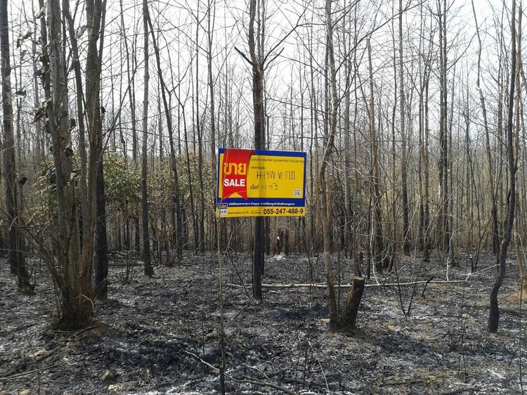 💖 ที่ดิน หล่มสัก ราคาพิเศษ! 💖