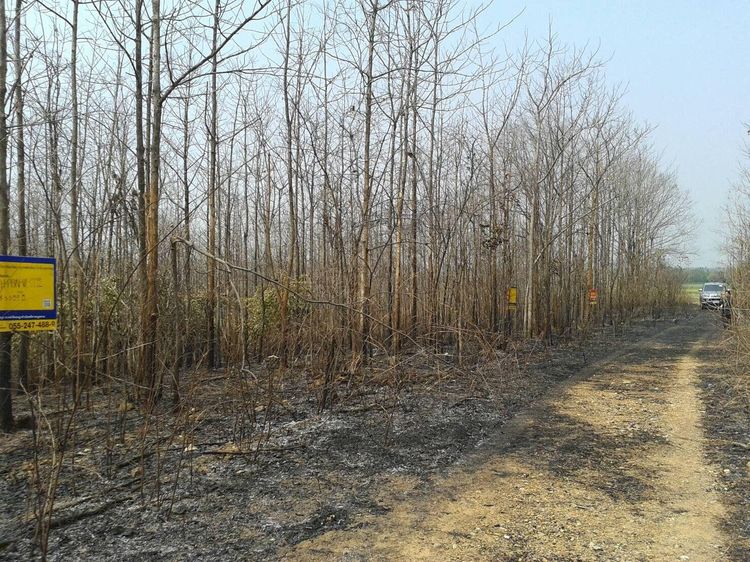 ใช่ 💖 ที่ดิน หล่มสัก ราคาพิเศษ! 💖 รูปที่ 4