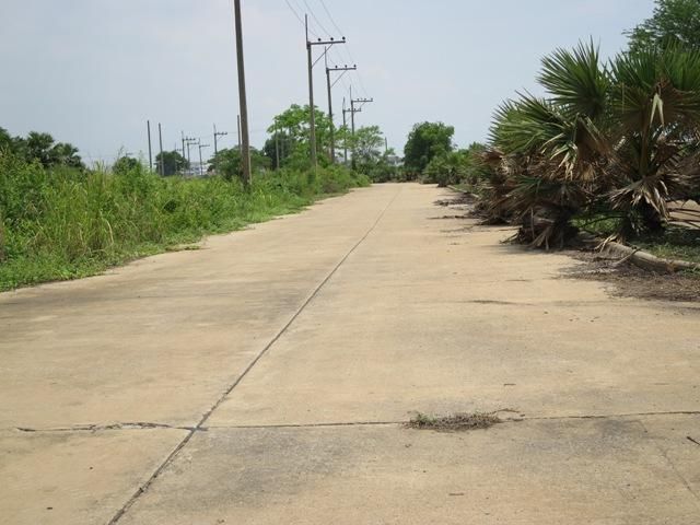 ใช่ 💖 ที่ดิน สามโคก ราคาพิเศษ! 💖 รูปที่ 4