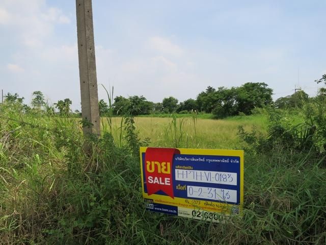ใช่ 💖 ที่ดิน สามโคก ราคาพิเศษ! 💖 รูปที่ 2