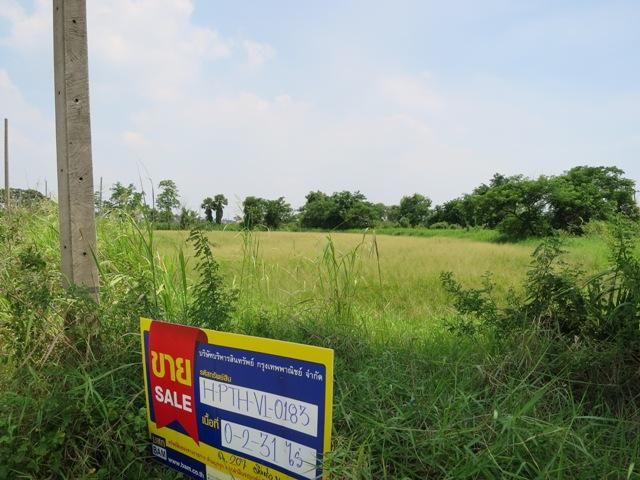 ใช่ 💖 ที่ดิน สามโคก ราคาพิเศษ! 💖 รูปที่ 3